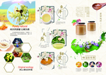 蜜蜂蜂蜜折页传单