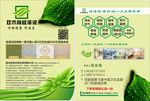 环保 硅藻泥单页