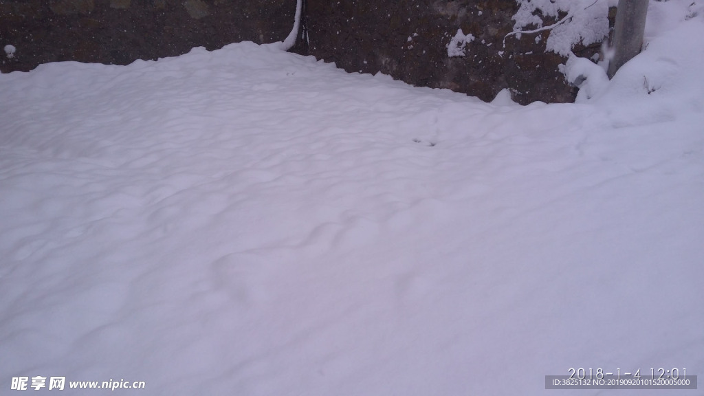 雪 大雪 树技 冬天 白雪