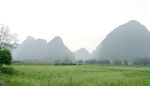 远山 山 草 绿色 树叶 风景