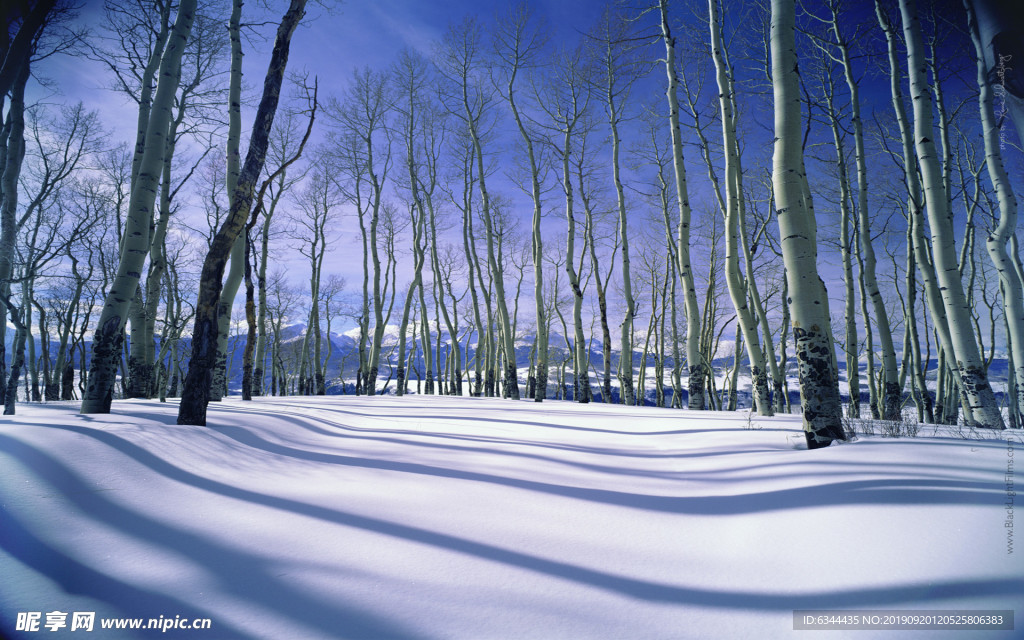 雪地
