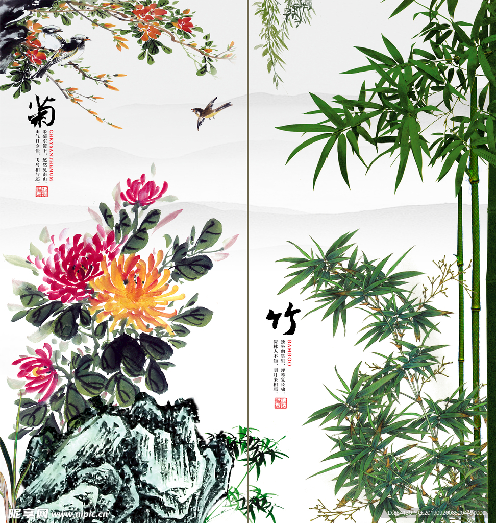 菊花 竹