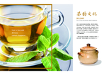茶宣传册