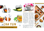 茶宣传册