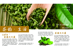 茶宣传册