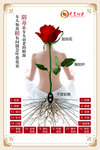 众道妙方