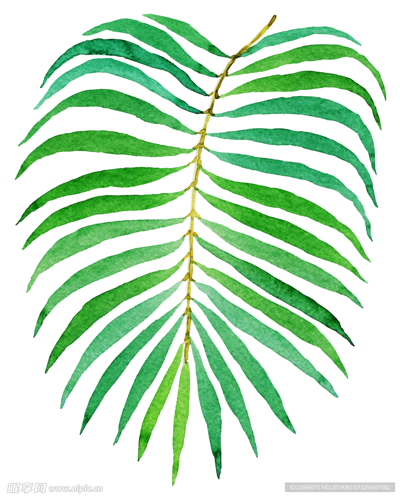 绿色植物图案