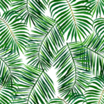 绿色植物图案