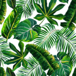 绿色植物图案