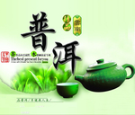 普洱茶海报