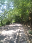 惠州红花湖绿道