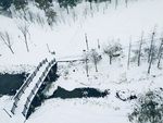 大雪