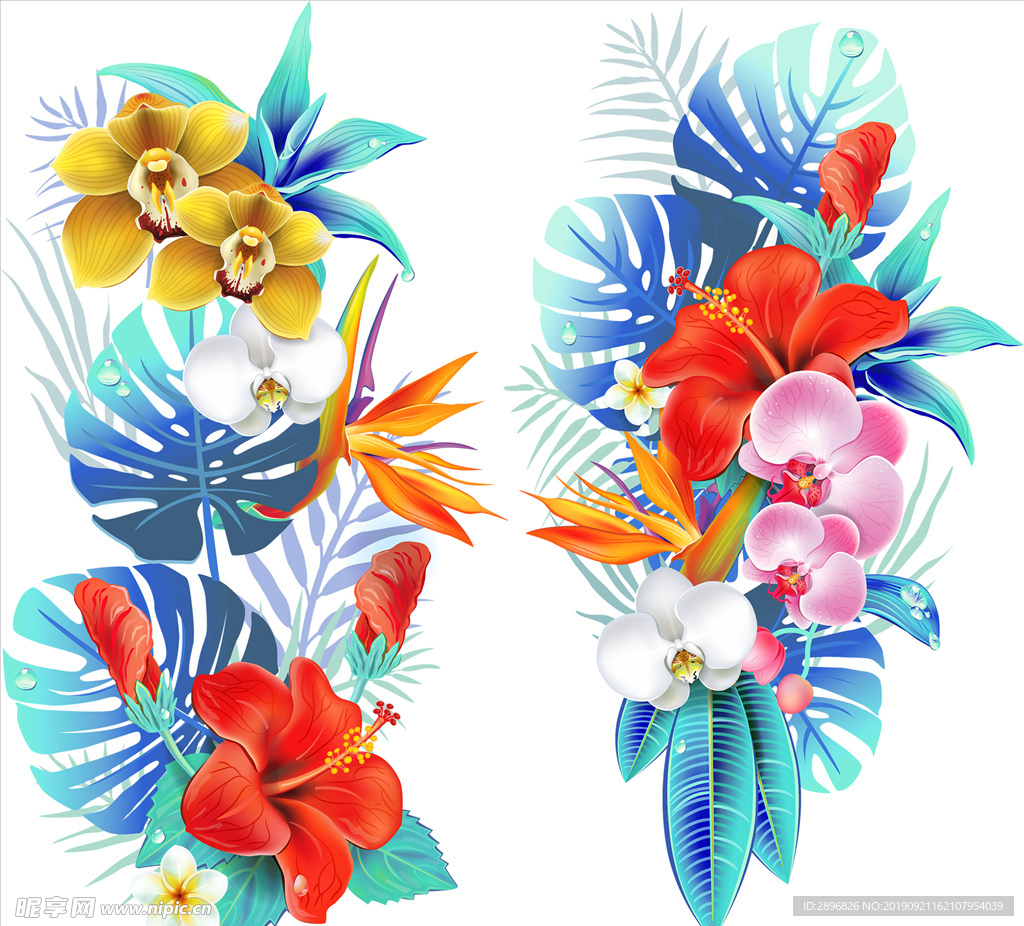 热带花