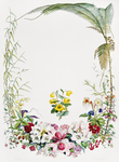边框 花