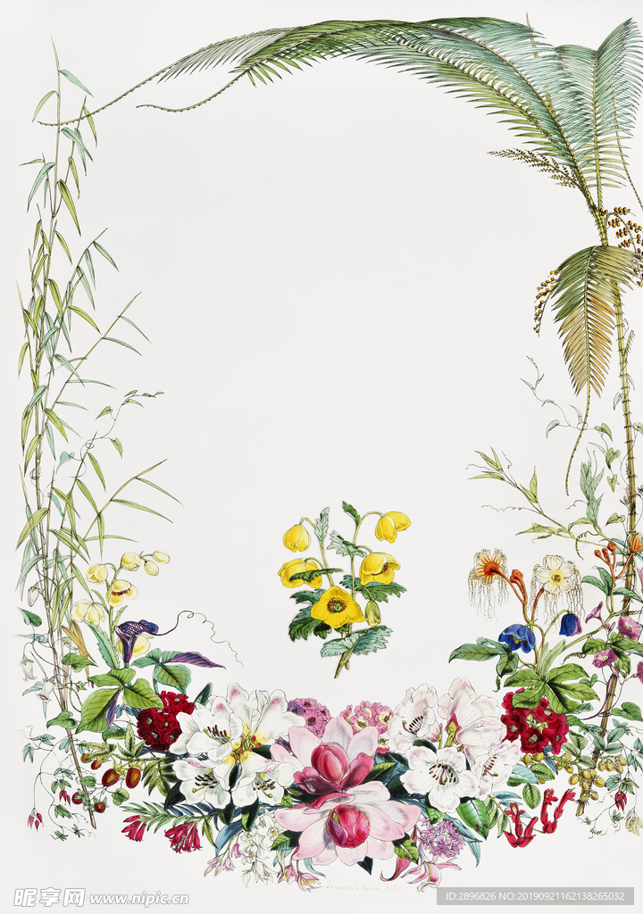 边框 花