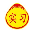 实习