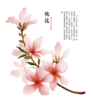 古风装饰