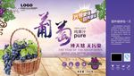 五谷产品包装
