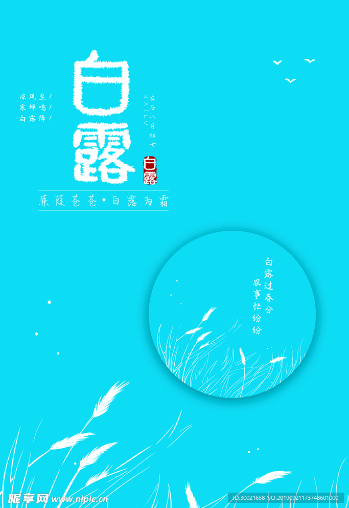 白露