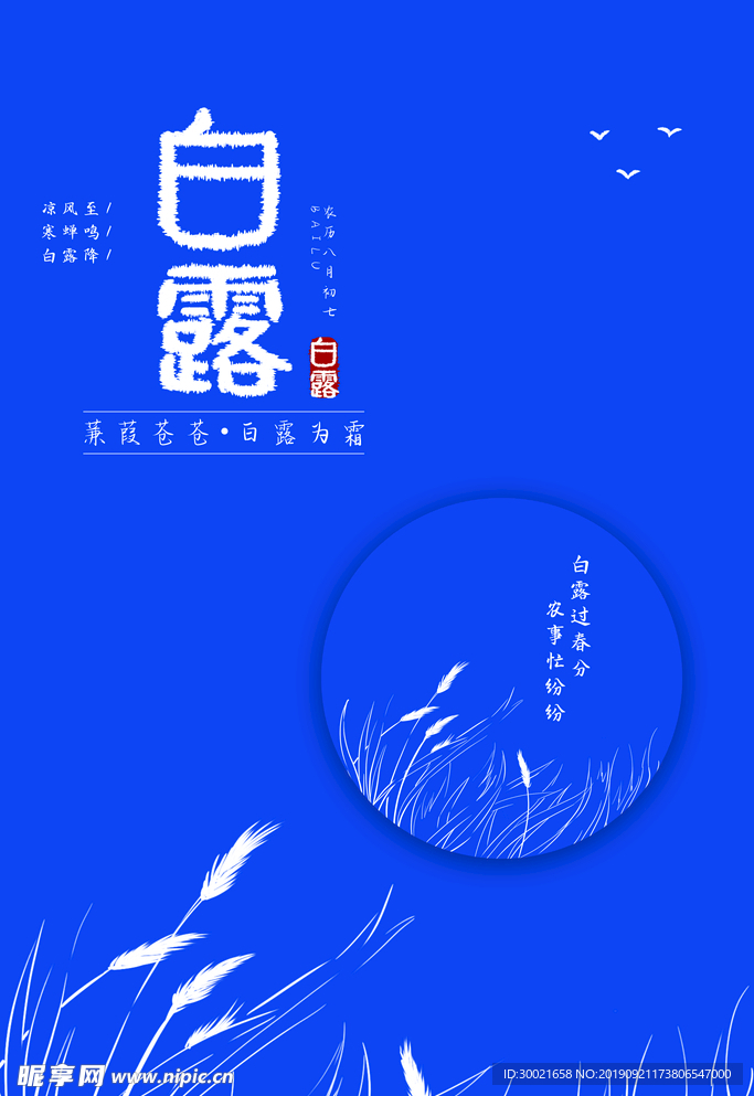 白露