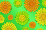矢量菊花