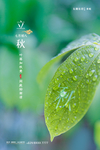 立秋