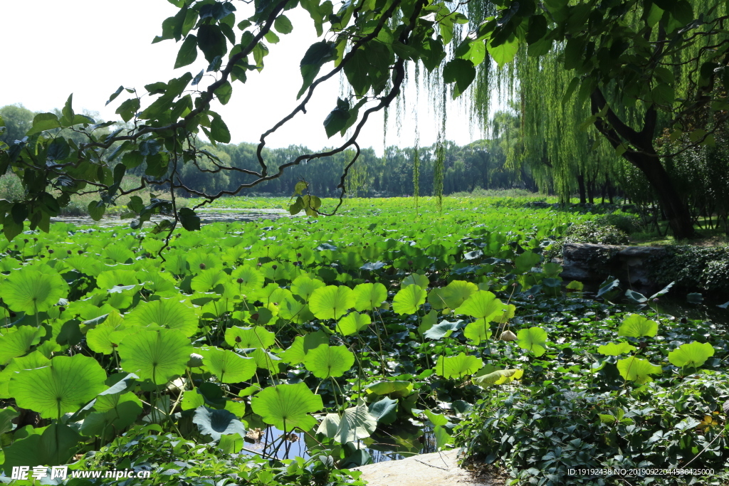 颐和园风景