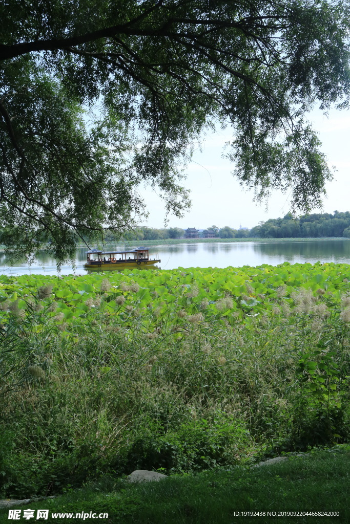 颐和园风景