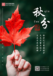 秋分
