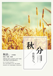秋分