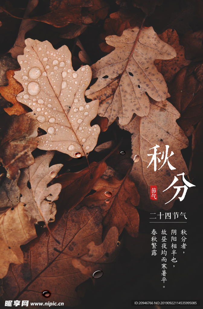 秋分