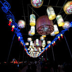 2019南宁青秀山花灯展