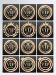 VIP图标