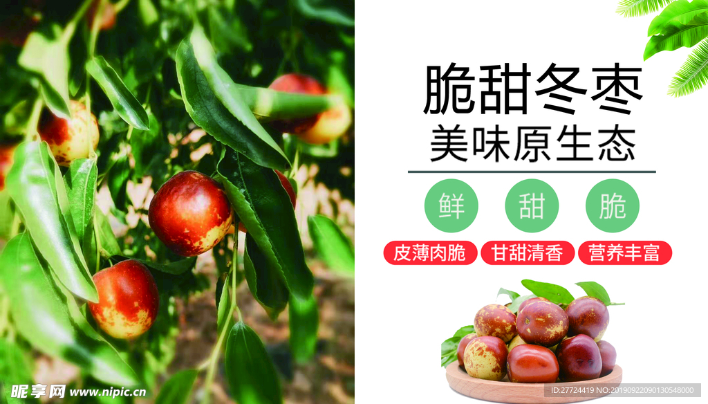 冬枣