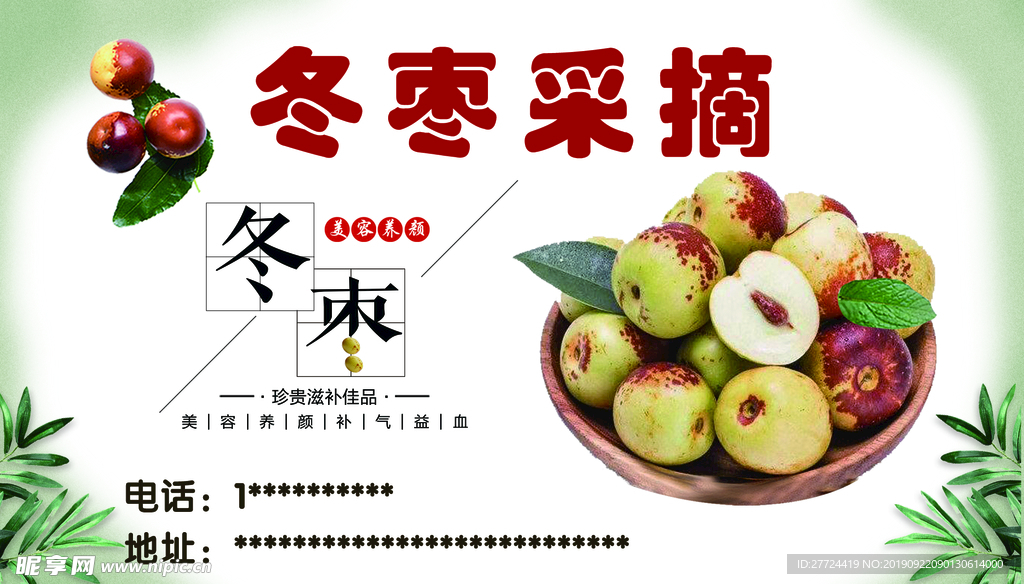 冬枣采摘