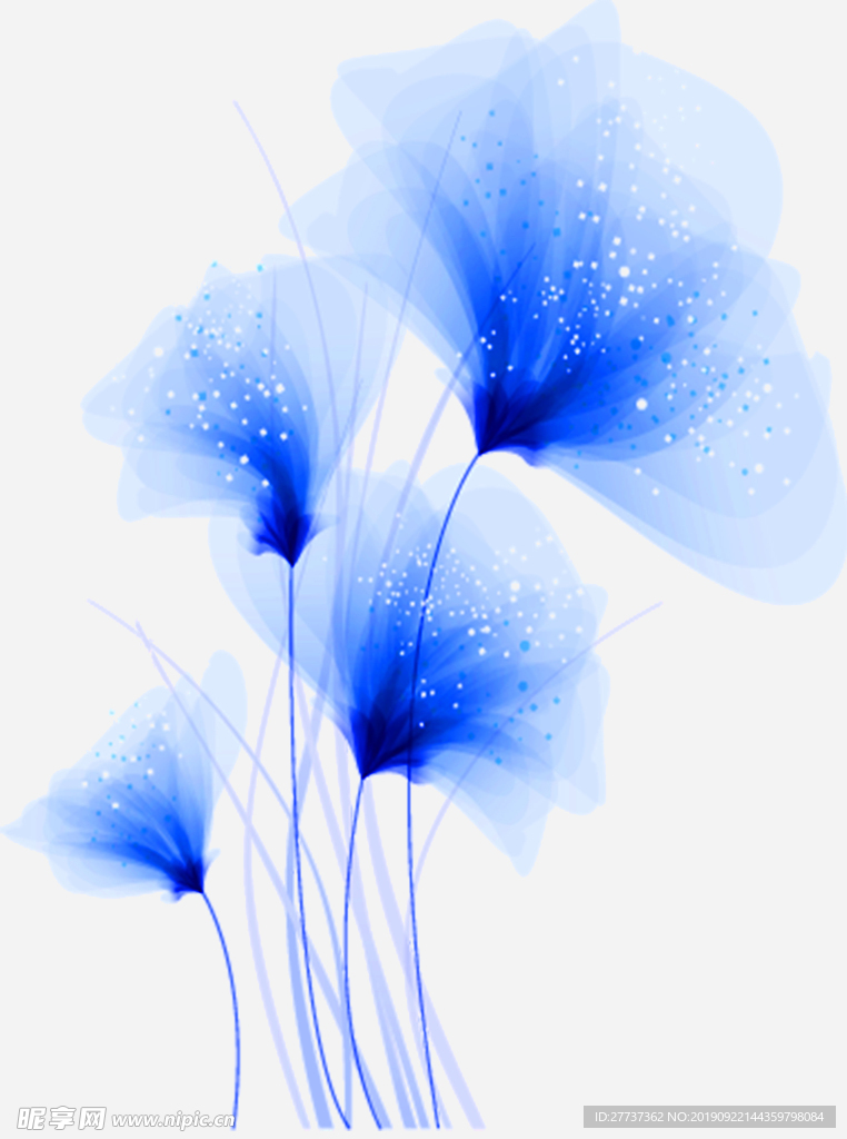 透明花