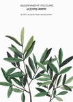 北欧植物
