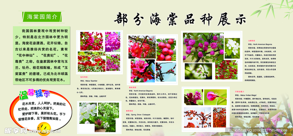 版面