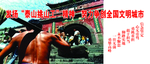 挑山工精神