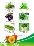 蔬菜菜谱