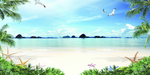 海景 大海 椰子树 百合花 花