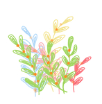 植物插画