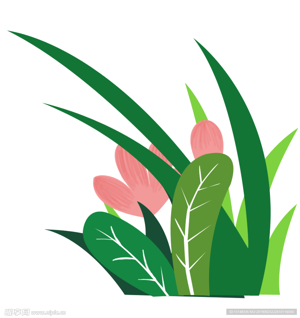 植物插画