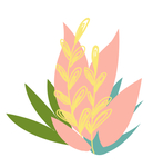 植物插画