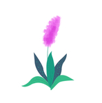 植物插画设计