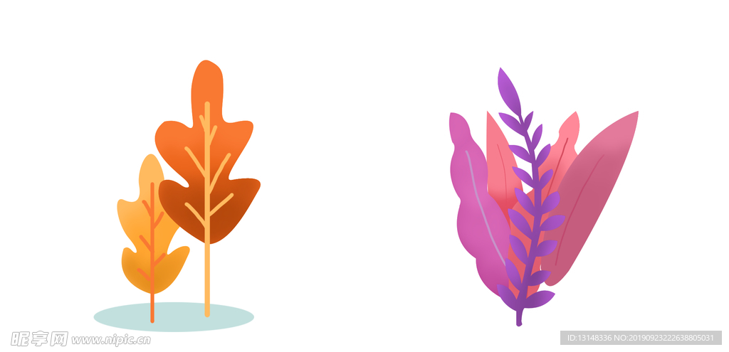 植物插画设计