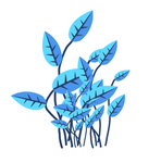 植物插画