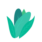 植物插画