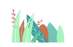植物插画