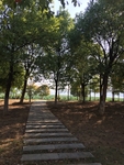 小路
